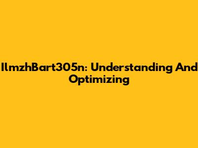 IlmzhBart305n: Understanding And Optimizing