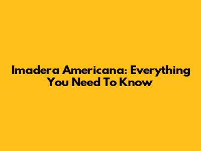 Imadera Americana: Everything You Need To Know