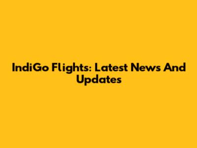 IndiGo Flights: Latest News And Updates