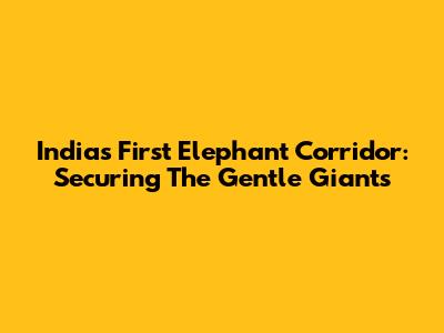 India's First Elephant Corridor: Securing The Gentle Giants