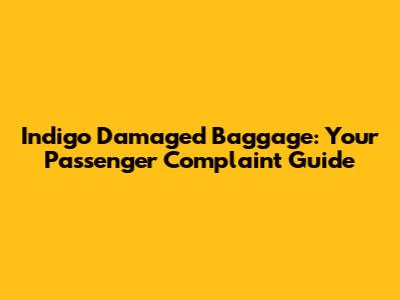 Indigo Damaged Baggage: Your Passenger Complaint Guide