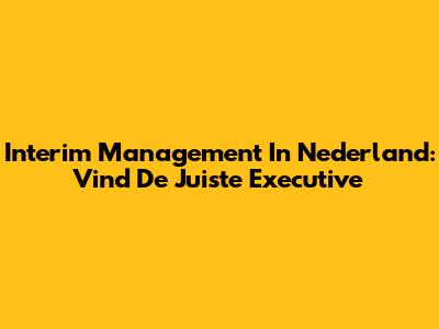 Interim Management In Nederland: Vind De Juiste Executive