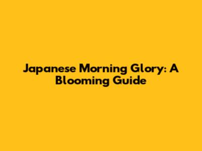 Japanese Morning Glory: A Blooming Guide