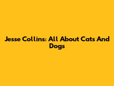 Jesse Collins: All About Cats And Dogs