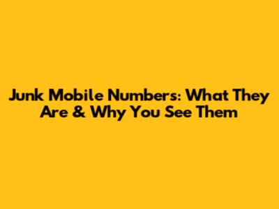 Junk Mobile Numbers: What They Are & Why You See Them
