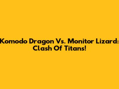 Komodo Dragon Vs. Monitor Lizard: Clash Of Titans!