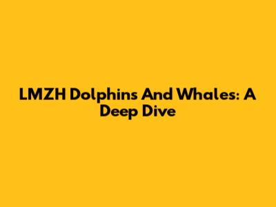 LMZH Dolphins And Whales: A Deep Dive