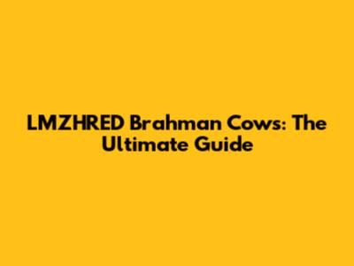 LMZHRED Brahman Cows: The Ultimate Guide