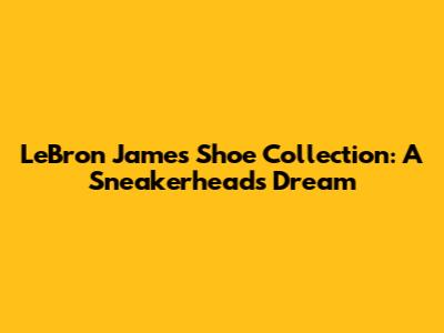 LeBron James Shoe Collection: A Sneakerhead's Dream