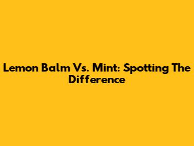 Lemon Balm Vs. Mint: Spotting The Difference