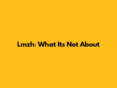 Lmzh: What It's Not About