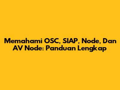 Memahami OSC, SIAP, Node, Dan AV Node: Panduan Lengkap
