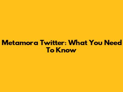 Metamora Twitter: What You Need To Know
