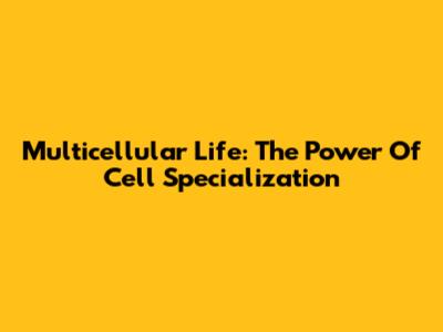 Multicellular Life: The Power Of Cell Specialization