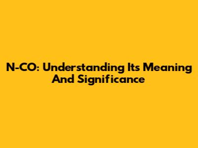 N-CO: Understanding Its Meaning And Significance