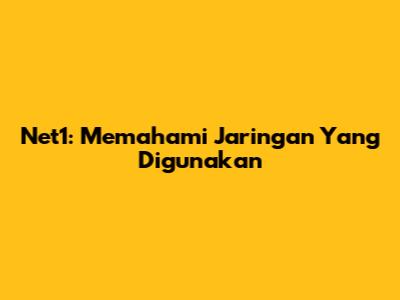 Net1: Memahami Jaringan Yang Digunakan