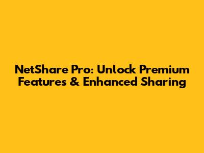NetShare Pro: Unlock Premium Features & Enhanced Sharing