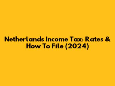 Netherlands Income Tax: Rates & How To File (2024)