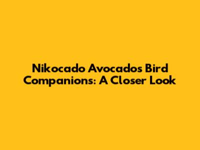 Nikocado Avocado's Bird Companions: A Closer Look