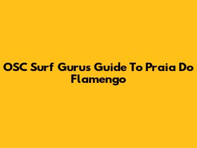 OSC Surf Gurus' Guide To Praia Do Flamengo