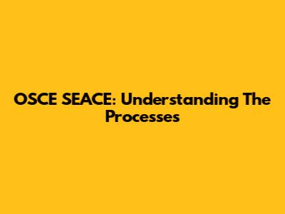 OSCE SEACE: Understanding The Processes