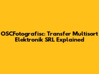 OSCFotografisc: Transfer Multisort Elektronik SRL Explained
