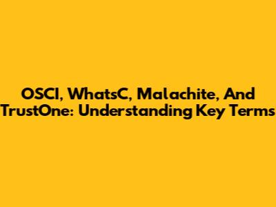 OSCI, WhatsC, Malachite, And TrustOne: Understanding Key Terms