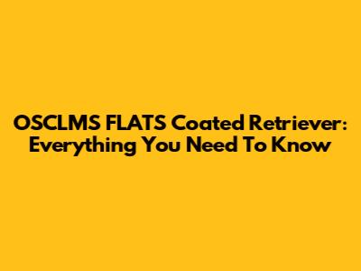 OSCLMS FLATS Coated Retriever: Everything You Need To Know