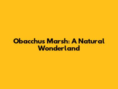 Obacchus Marsh: A Natural Wonderland