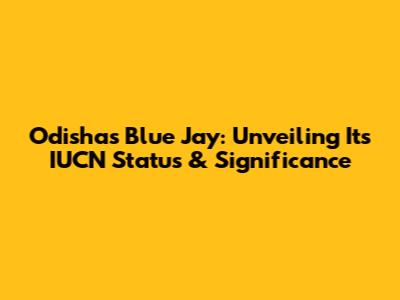 Odisha's Blue Jay: Unveiling Its IUCN Status & Significance