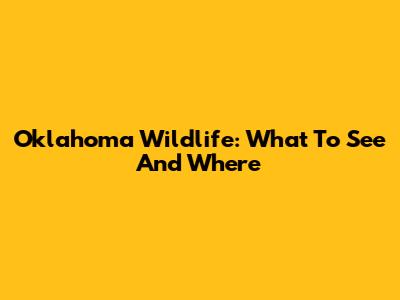 Oklahoma Wildlife: What To See And Where