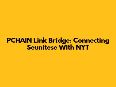 PCHAIN Link Bridge: Connecting Seunitese With NYT