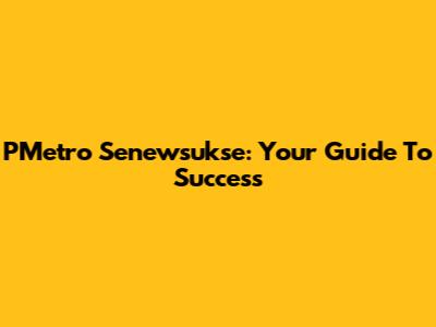 PMetro Senewsukse: Your Guide To Success