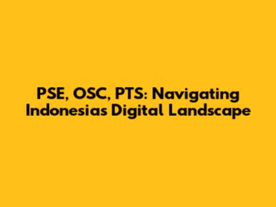 PSE, OSC, PTS: Navigating Indonesia's Digital Landscape