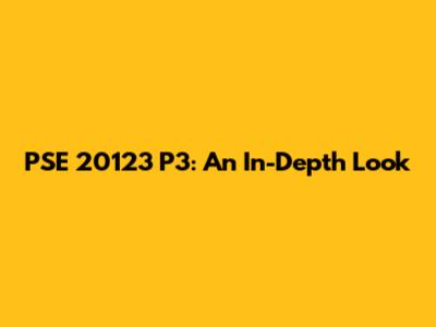 PSE 20123 P3: An In-Depth Look
