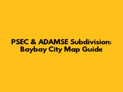 PSEC & ADAMSE Subdivision: Baybay City Map Guide