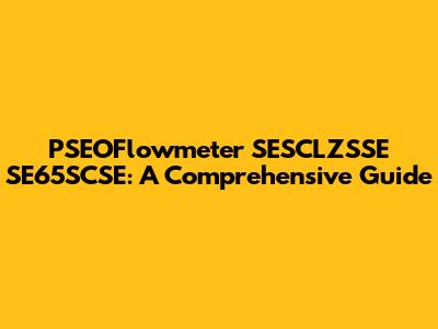 PSEOFlowmeter SESCLZSSE SE65SCSE: A Comprehensive Guide