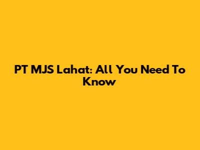 PT MJS Lahat: All You Need To Know