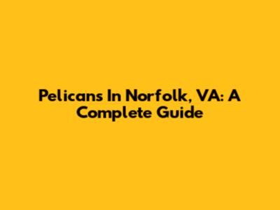 Pelicans In Norfolk, VA: A Complete Guide