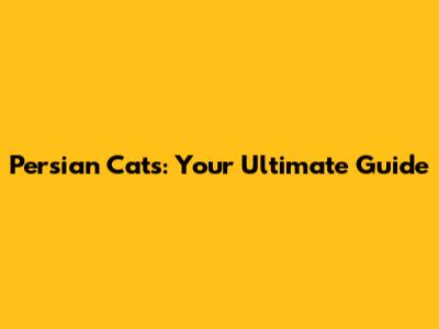 Persian Cats: Your Ultimate Guide