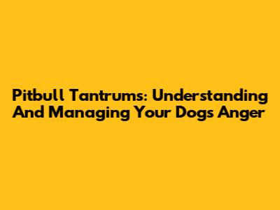 Pitbull Tantrums: Understanding And Managing Your Dog's Anger