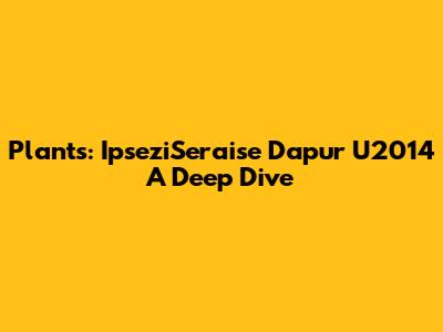 Plants: IpseziSeraise Dapur U2014 A Deep Dive