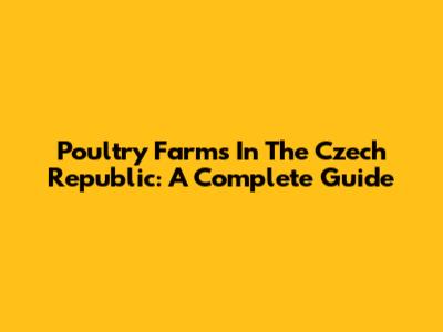 Poultry Farms In The Czech Republic: A Complete Guide