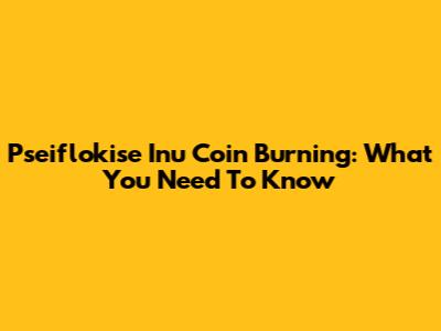 Pseiflokise Inu Coin Burning: What You Need To Know