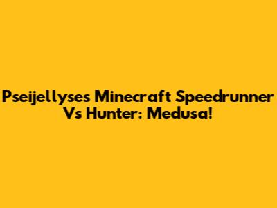 Pseijellyse's Minecraft Speedrunner Vs Hunter: Medusa!