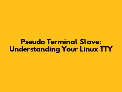 Pseudo Terminal Slave: Understanding Your Linux TTY