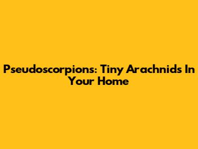 Pseudoscorpions: Tiny Arachnids In Your Home