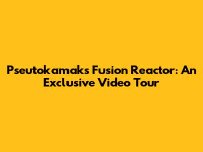 Pseutokamaks Fusion Reactor: An Exclusive Video Tour