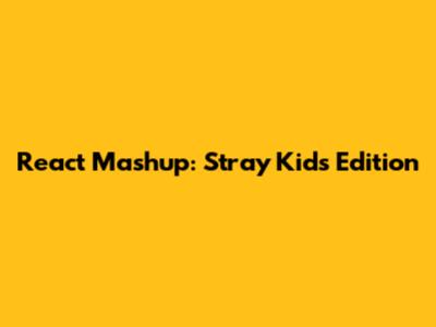 React Mashup: Stray Kids Edition