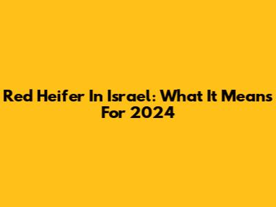 Red Heifer In Israel: What It Means For 2024